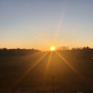 Meet your Posher, Lucy